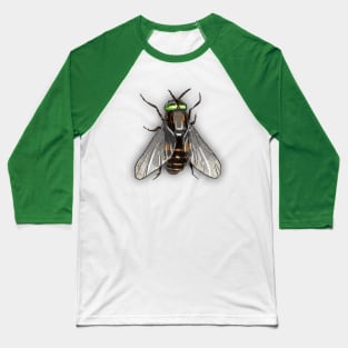 Bugs-3 Housefly Baseball T-Shirt